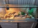 Terrarium 120x50x50 met toebehoren, Animaux & Accessoires, Reptiles & Amphibiens | Accessoires, Enlèvement, Utilisé, Terrarium ou Paludarium