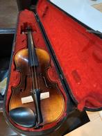 Viool met houten koffer, Ophalen of Verzenden, Zo goed als nieuw, Viool