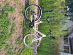 kinderfiets, Fietsen en Brommers, Ophalen, Gebruikt, 16 tot 20 inch, Golden Lion