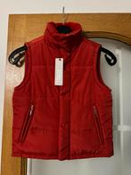 Veste fille neuve sans manches  T-TRAXX taille 10 ans, Enfants & Bébés, T-TRAXX, Fille, Pull ou Veste, Neuf