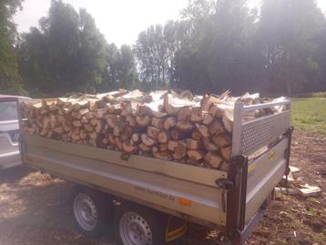 brandhout beschikbaar voor biedingen