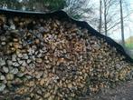 Bois de chauffage, Jardin & Terrasse, Bois de chauffage, 3 à 6 m³, Enlèvement, Hêtre, Bûches