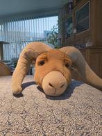 Dierenkop, Enlèvement