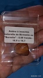 Stukje amber met insecten uit Birma, Handtassen en Accessoires, Nieuw, Ophalen of Verzenden