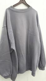 Pull heren grijs-blauw XXL oksel tot oksel ca 63cm, Kleding | Heren, Truien en Vesten, Ophalen of Verzenden, Blauw