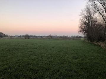 Boerderij te koop in Aalter beschikbaar voor biedingen