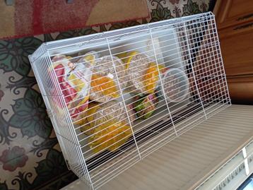 Cage 1m*50cm, Enlèvement, Comme neuf
