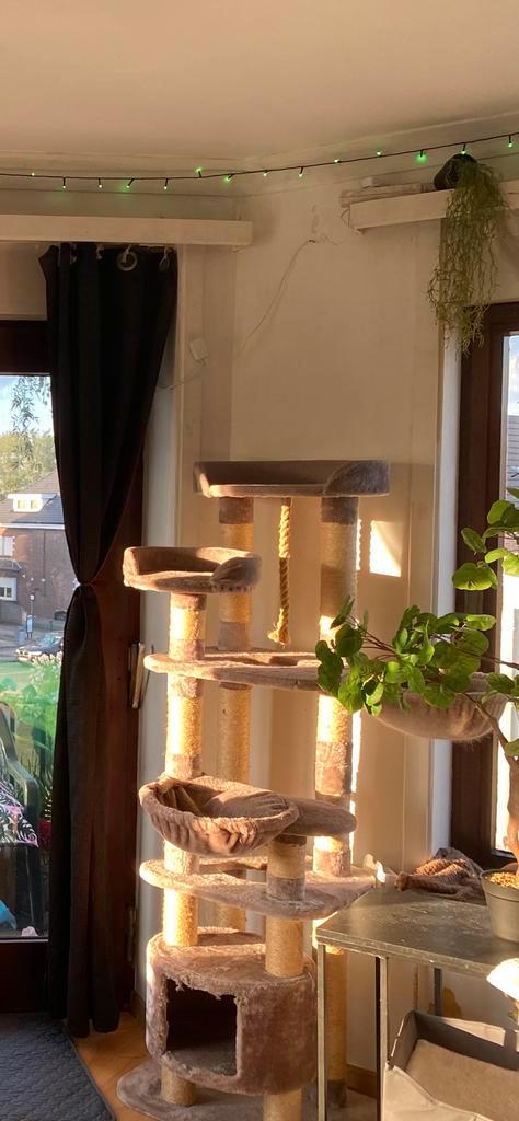 2 grote krabpalen, Dieren en Toebehoren, Krabmeubelen, Zo goed als nieuw, Krabpaal, Ophalen