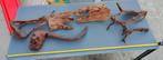 Hout aquarium, Ophalen, Gebruikt, Plant(en), Steen of Hout