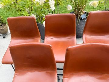 6 eetstoelen cognac kleur licht beschadigd, Enlèvement, Utilisé, Brun, Cuir