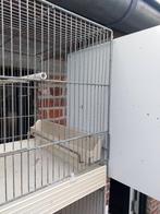 Draadkooien, Dieren en Toebehoren, Ophalen, Gebruikt, Metaal, Broedkooi of Kweekkooi