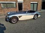 Healey 3000 MKI Totaal restauratie, Auto's, Austin, 4 zetels, Achterwielaandrijving, Cabriolet, Blauw