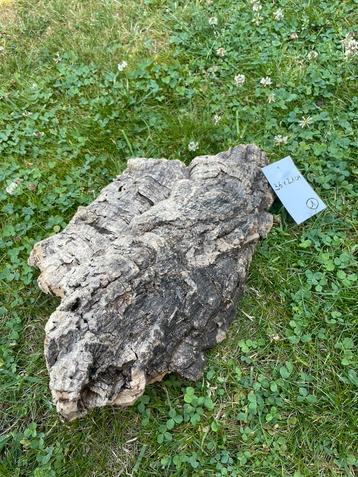 Grote stukken schors voor terrarium beschikbaar voor biedingen