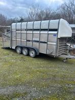 Veetrailer Ifor Williams, Animaux & Accessoires, Chevaux & Poneys | Semi-remorques & Remorques, Enlèvement, Comme neuf