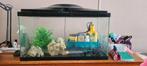 Aquarium, Ophalen, Zo goed als nieuw