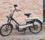 Benelli 50 heren, Particulier