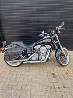 Harley-Davidson Dyna, Particulier