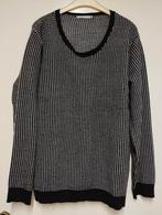 Een bames trui kleur donker grijs maat xl, Vêtements | Femmes, Pulls & Gilets, Comme neuf, Taille 46/48 (XL) ou plus grande, Enlèvement
