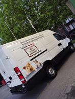 iveco daily 2013, Auto's, Bestelwagens en Lichte vracht, Euro 5, Elektrische ramen, Zwart, Iveco