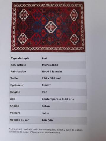 Tapis d'orient noué main-Iran 310 x 220 cm beschikbaar voor biedingen
