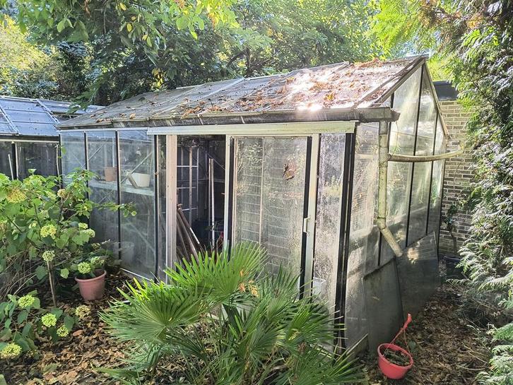 Serre 3,1m x 4,7m, Tuin en Terras, Kassen, Gebruikt, Kweekkas, Staal, Glas, Ophalen