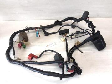 CBR600F 1999 - 2000 Honda Kabelboom Kabelboom hoofd D1-54046 beschikbaar voor biedingen