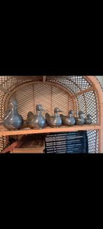 Vintage tinnen eend 6x. Doosjes. Tin en messing, Antiek en Kunst, Curiosa en Brocante, Ophalen