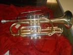 blaasinstrument cornet, Muziek en Instrumenten, Ophalen, Nieuw, Trompet in si bemol