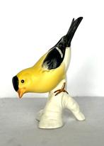 Hummel Goebel vogel American Goldfinch Amerikaanse Goudvink, Ophalen of Verzenden, Hummel