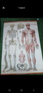 Oude schoolkaart, Antiek en Kunst, Ophalen