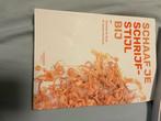 Schaaf je schrijfstijl bij, Boeken, Liesbet De Vuyst; Danielle De Smet, Ophalen of Verzenden, Zo goed als nieuw, Nederlands