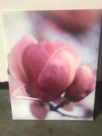 Canvas magnolia 49x39cm, Huis en Inrichting, Ophalen of Verzenden, Zo goed als nieuw