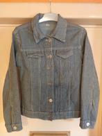 Vestje 134-140, Kinderen en Baby's, Kinderkleding | Maat 134, Ophalen of Verzenden, Zo goed als nieuw, Meisje, Trui of Vest