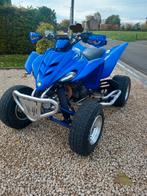 350 raptor homologué, Motoren, 11 kW of minder, 349 cc, 1 cilinder