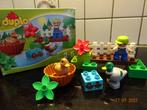 DUPLO Bos Eenden - 10581*VOLLEDIG*PRIMA STAAT*, Ophalen of Verzenden, Complete set, Duplo