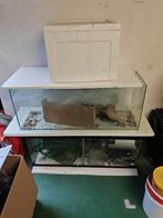 Gratis aquarium, Enlèvement