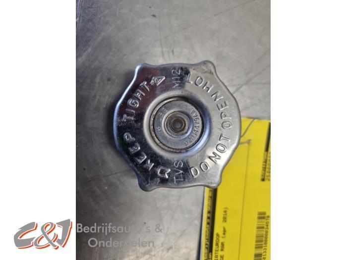 Radiateurdop van een Dodge RAM, Auto-onderdelen, Airco en Verwarming, Dodge, Gebruikt, 3 maanden garantie, Ophalen of Verzenden