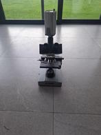 microscoop, Enlèvement, Utilisé