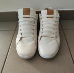 Lacoste geklede zomerschoenen 46, Enlèvement ou Envoi, Comme neuf