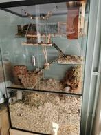 Gerbil Verblijf 60x40x100 cm – Ruim Speelparadijs van Glas, Ophalen of Verzenden, 90 cm of meer, Hok, Hamster