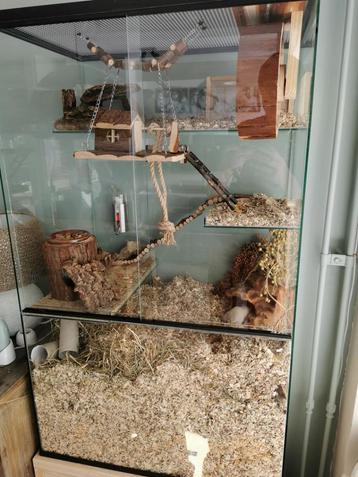 Gerbil Verblijf 60x40x100 cm – Ruim Speelparadijs van Glas beschikbaar voor biedingen
