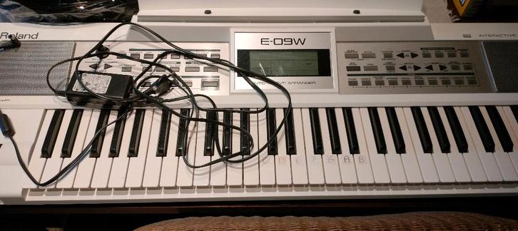 keyboard Roland, Muziek en Instrumenten, Keyboards, Gebruikt, Roland, Ophalen