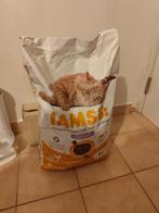 Alimentation chat 1 an 10 kg, Animaux & Accessoires, Enlèvement ou Envoi, Chat