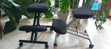 Verstelbare ergonomische stoelen (voor de rug). beschikbaar voor biedingen