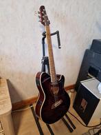 Ibanez Talman TCM 50, Musique & Instruments, Enlèvement, Comme neuf, Autres types