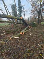 brandhout populier, Tuin en Terras, Brandhout, Ophalen, Overige houtsoorten, Blokken
