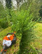 Tailles de haies, Enlèvement, Comme neuf