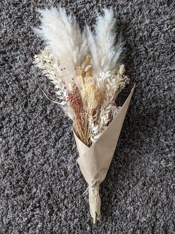 Droogboeket, Enlèvement ou Envoi, Comme neuf
