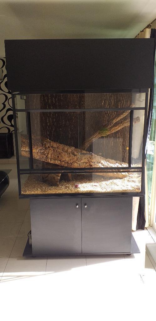 terrarium kast met alles erop en eraan (Perfecte staat), Dieren en Toebehoren, Reptielen en Amfibieën | Toebehoren, Zo goed als nieuw