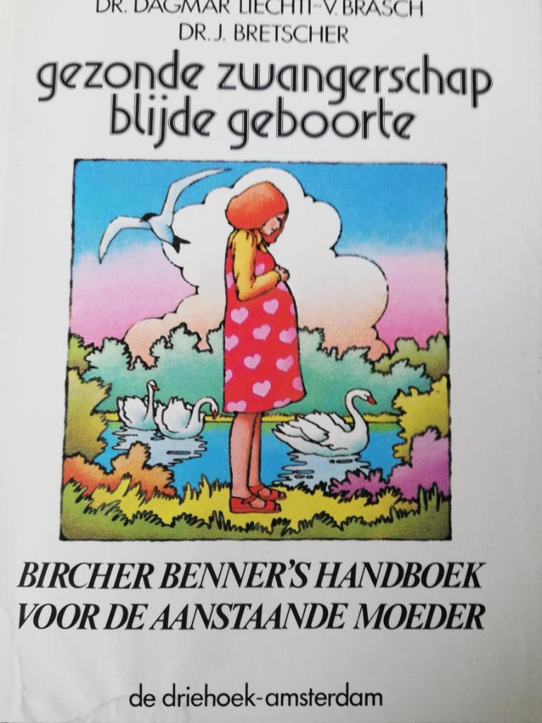 Gezonde zwangerschap blijde geboorte, Bircher Benner's handb, Boeken, Overige Boeken, Zo goed als nieuw, Ophalen of Verzenden